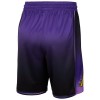 Los Angeles Lakers Kratke hlače Nike 2024-25 City Edition Swingman